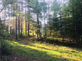 Lot 2 FAIRWAY DR