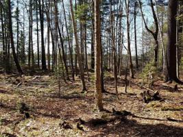parcel 9 TUCKAWAY RD