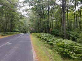 ON CHAIN O LAKES RD
