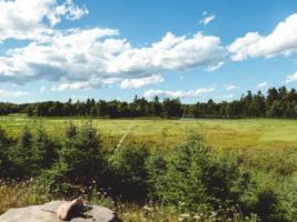 ON GRUNDY POINT RD
