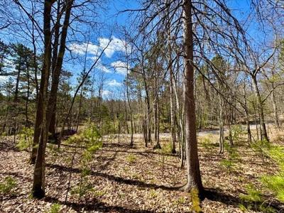 ON CATFISH LAKE RD