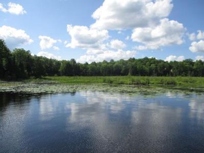 Lot 3 FISHER LAKE RD E