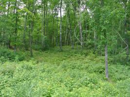 Lot 2 JOSHUA CT