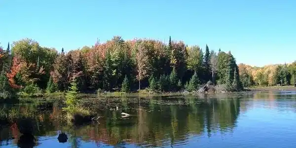 ON BOY SCOUT ISLAND RD