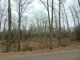 Lot 103 BO DI LAC DR