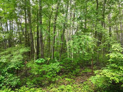 Lot 2 COTTAGE RD