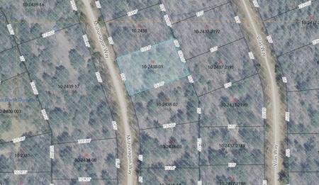 Lot 39 MISHONAGON WAY