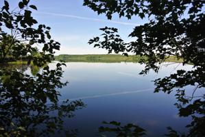Lot 1 BO DI LAC RD