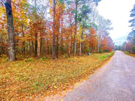 ON TOMANOK RD
