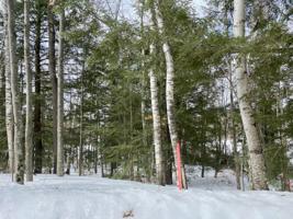 Lot 4 BIRCH POINT RD