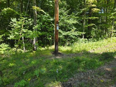 Lot 10 SOUTH SHORE RD