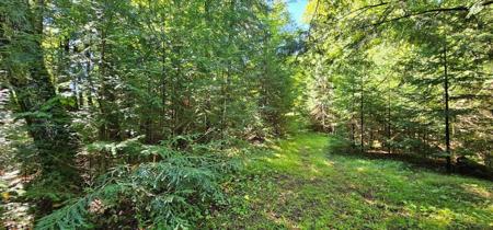 Lot2 off GOLF COURSE DR
