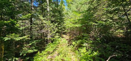 Lot4 off GOLF COURSE DR