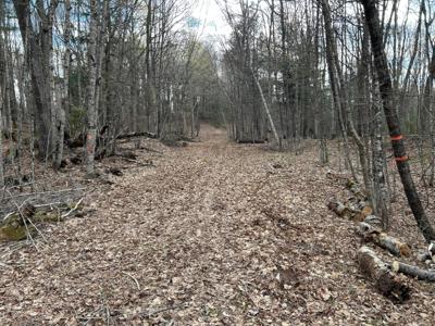 TBD TALL TIMBERS RD