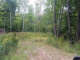 1 & 2 SUGAR MAPLE RD