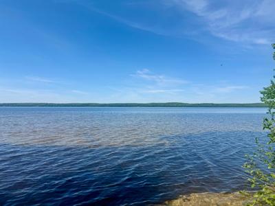 Lot 1 BRIGGS LN