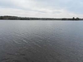 Lot 41 BLUE JAY LN