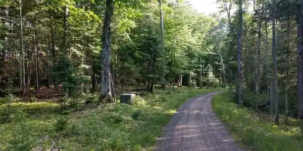 ON OSPREY POINT RD