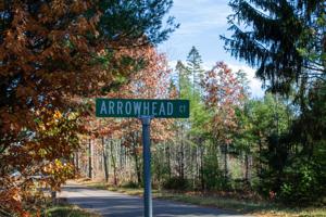 1003 ARROWHEAD CT