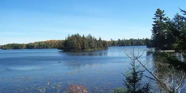 ON BOY SCOUT ISLAND RD