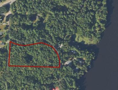 3 Acres BASS LAKE LOOP