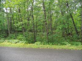 Lot 35 KOLLMAN RD