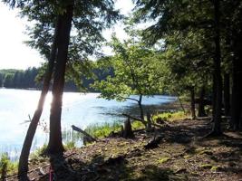 2349 SYLVAN ISLE DR