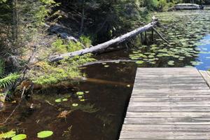 Lot 20 CONNORS RD