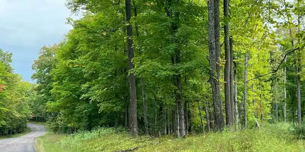 NEAR CISCO LAKE RD E