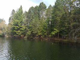ON PINE SHORE LN