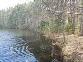 ON PINE SHORE LN