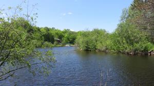 LOT ON TOWNSITE RD