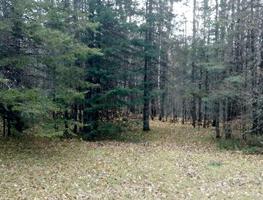 28-586 BIRCH LAKE RD W