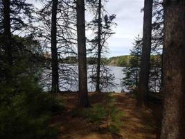 23 acres PINE SHORE LN