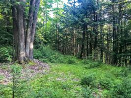 LOT 3 ON LONG LAKE DR