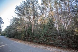 Lot 3 HEMLOCK LN