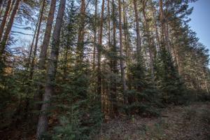Lot 4 HEMLOCK LN