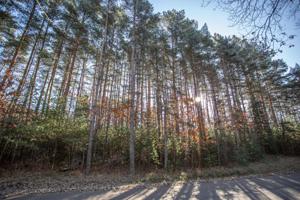 Lot 6 HEMLOCK LN