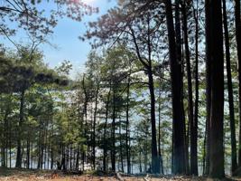 Lot 12 HILL CR