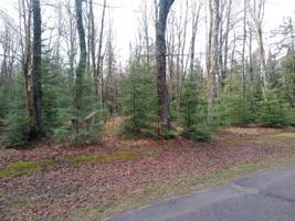 Lot 1 MUSKY POINT RD
