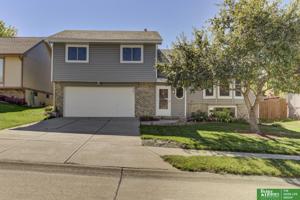 8161 Willit