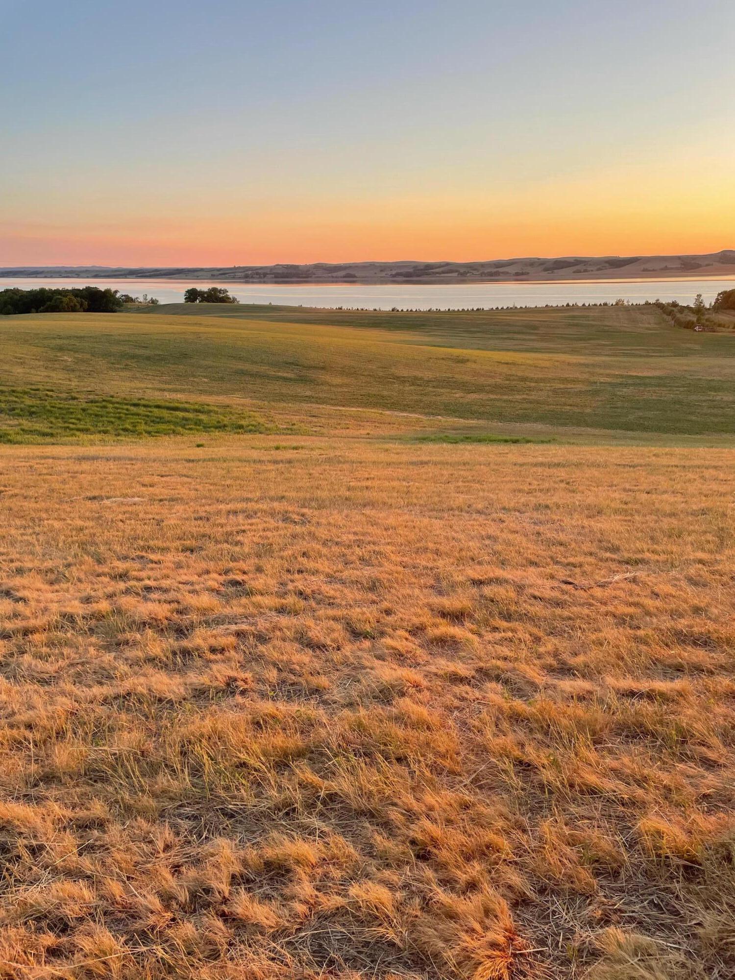 Image 3: Lot View
