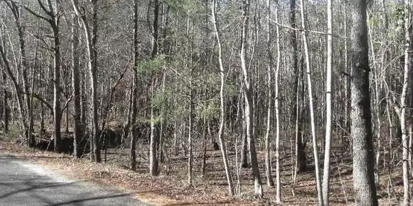 Watts Bridge / McCrary Road