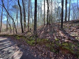 0 Chigger Creek Road