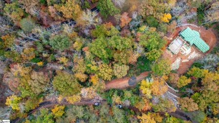 524 Caledonia Loop