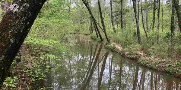 300 Waters Edge Drive