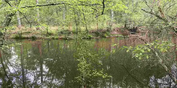 310 Waters Edge Drive