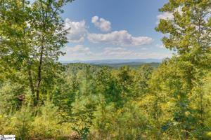 315 Cliffside Trail