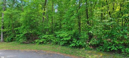 00 Lynden Loop