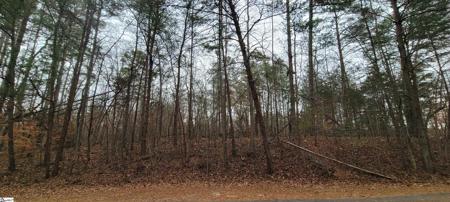 311 Sugarbush Court